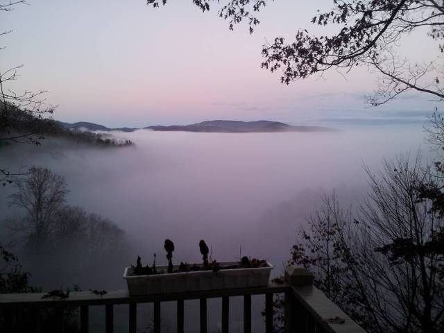 morning picdump 54 pics 13.html - 54 HD Photos | Premium Gallery 2015