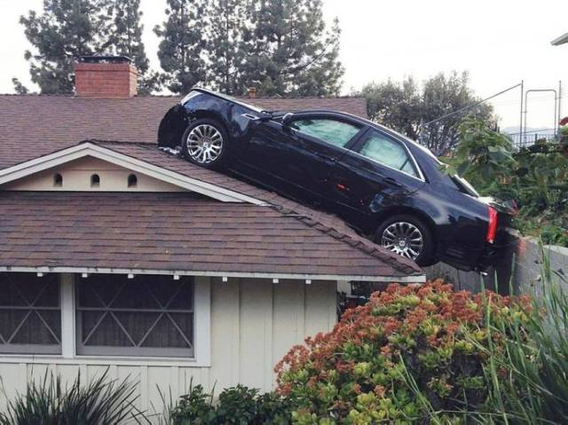 daily picdump 91 pics 36.html - 91 HD Photos | Premium Gallery 2015