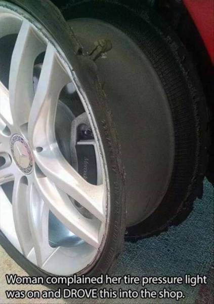 daily picdump 91 pics 36.html - 91 HD Photos | Premium Gallery 2015