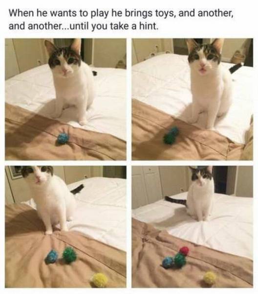 daily picdump 91 pics 36.html - 91 HD Photos | Premium Gallery 2015