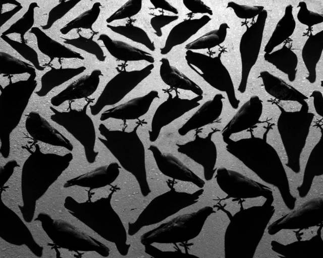 daily picdump 91 pics 36.html - 91 HD Photos | Premium Gallery 2015