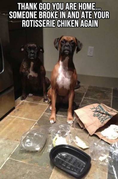 daily picdump 91 pics 36.html - 91 HD Photos | Premium Gallery 2015