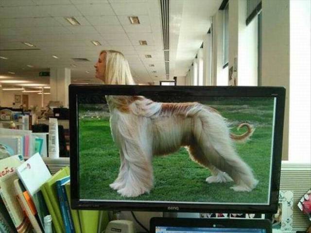 daily picdump 91 pics 36.html - 91 HD Photos | Premium Gallery 2015