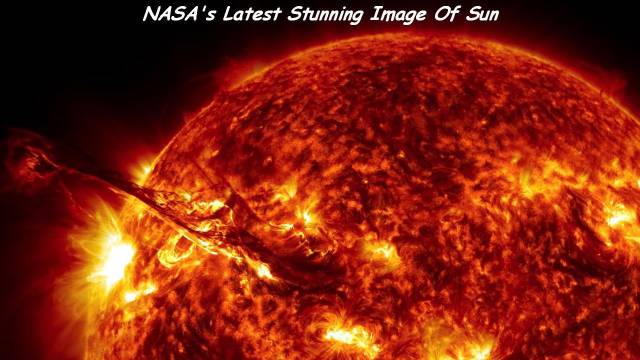 daily picdump 91 pics 36.html - 91 HD Photos | Premium Gallery 2015