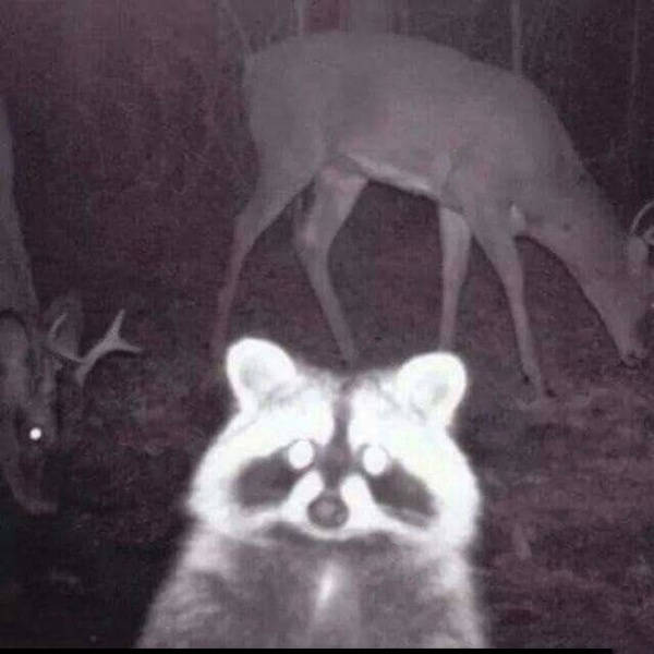 Funny Picdump