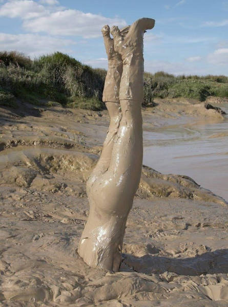 funny picdump 53 pics 17.html - 53 HD Photos | Premium Gallery 2015