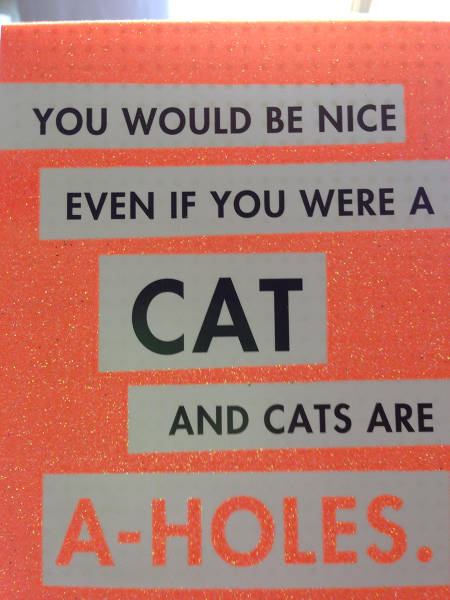 morning picdump 52 pics 26.html - 52 HD Photos | Premium Gallery 2015