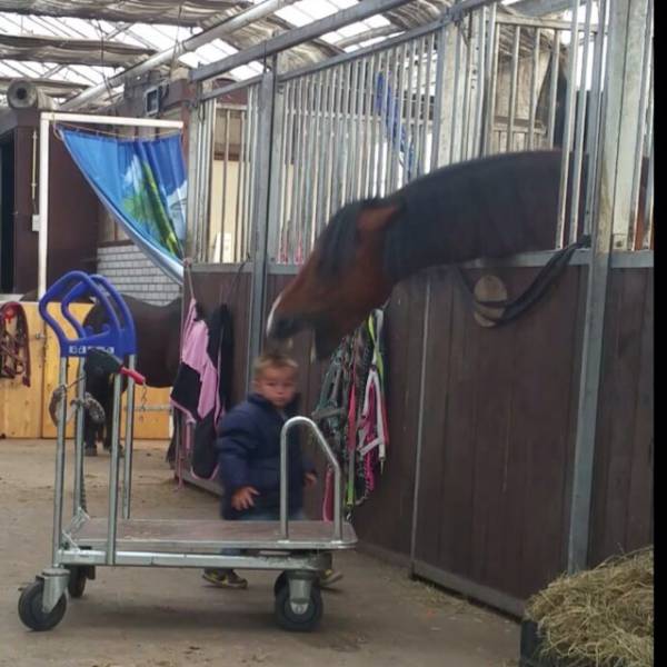 morning picdump 52 pics 26.html - 52 HD Photos | Premium Gallery 2015