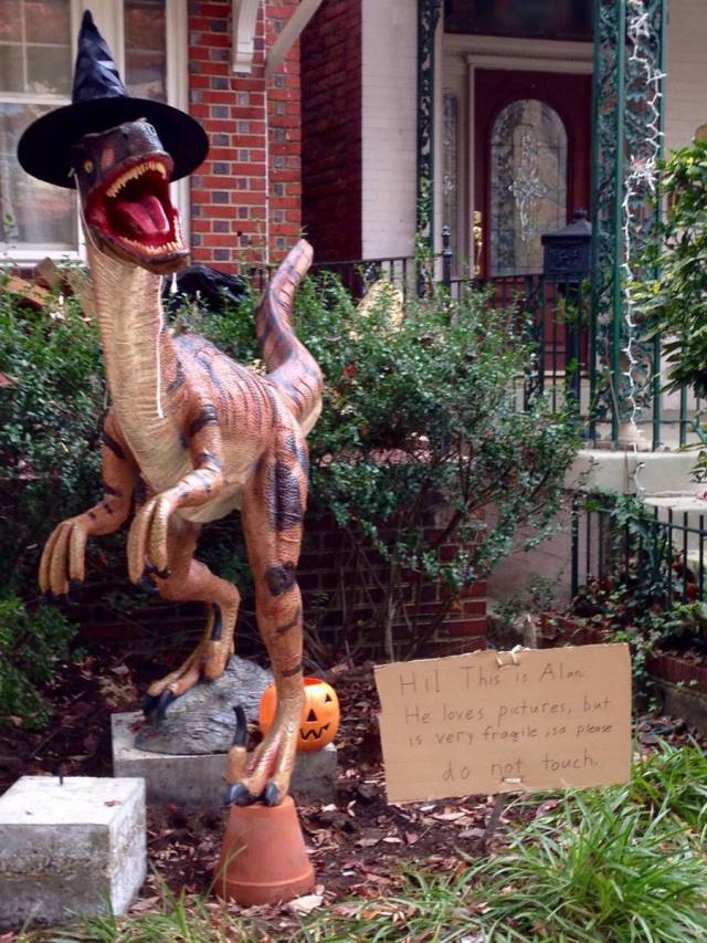 morning picdump 52 pics 26.html - 52 HD Photos | Premium Gallery 2015