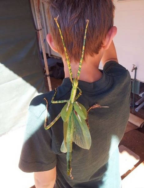 morning picdump 51 pics 24.html - 51 HD Photos | Premium Gallery 2015