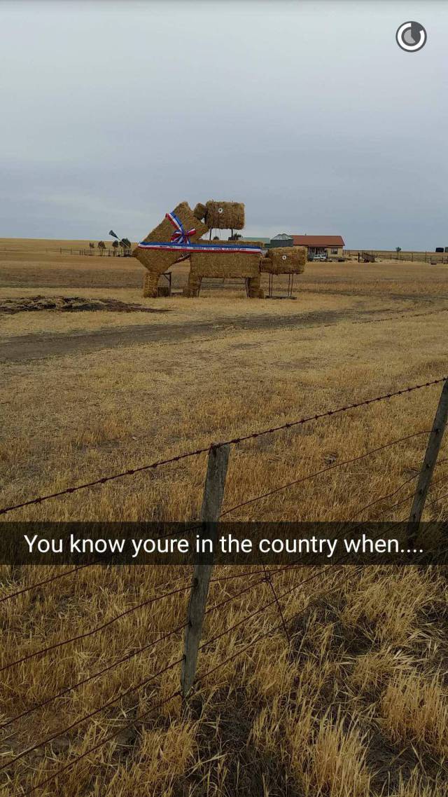 morning picdump 51 pics 24.html - 51 HD Photos | Premium Gallery 2015