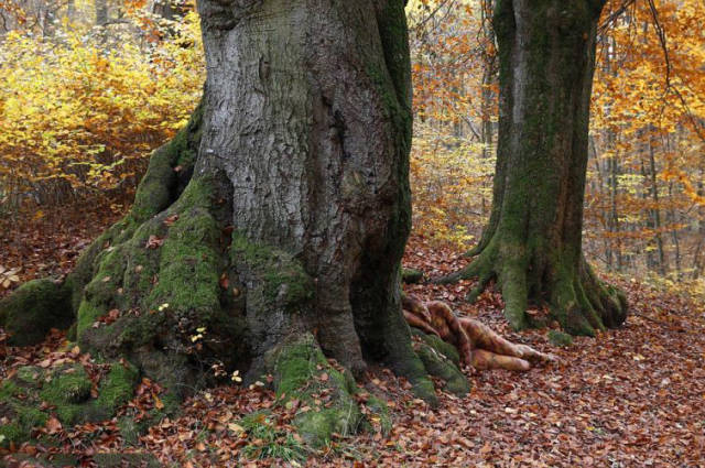 Can You Spot the Naked Woman in This Photo?