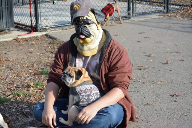 daily picdump 98 pics 13.html - 98 HD Photos | Premium Gallery 2015