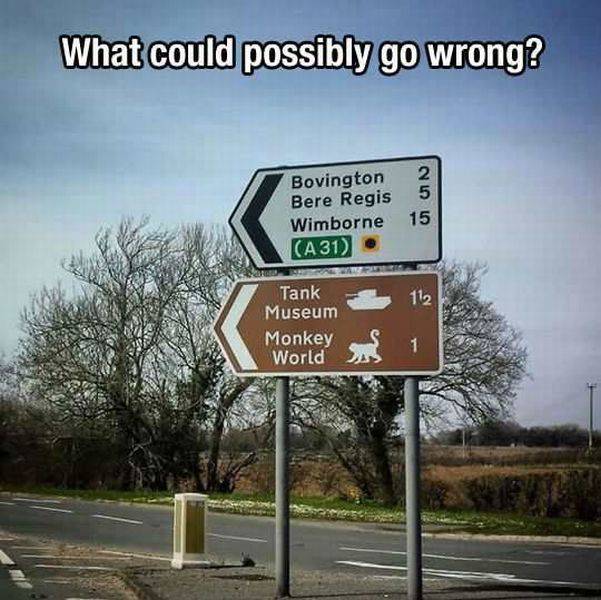 daily picdump 98 pics 13.html - 98 HD Photos | Premium Gallery 2015