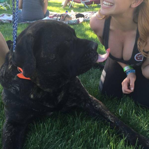 daily picdump 98 pics 13.html - 98 HD Photos | Premium Gallery 2015