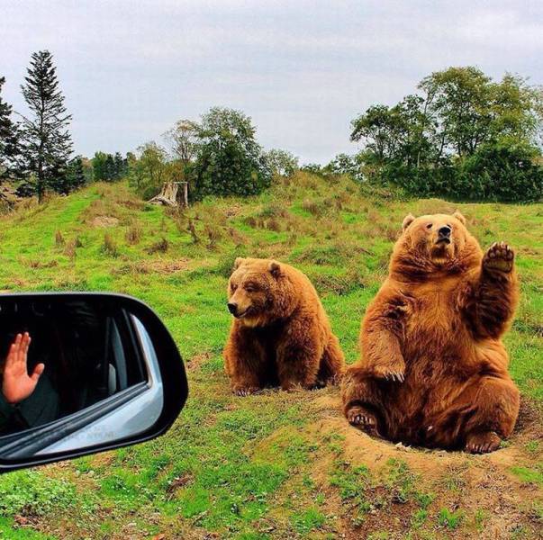 daily picdump 98 pics 13.html - 98 HD Photos | Premium Gallery 2015