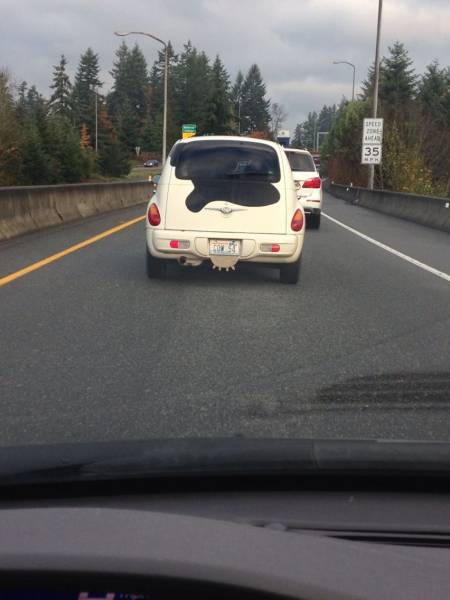 daily picdump 98 pics 13.html - 98 HD Photos | Premium Gallery 2015