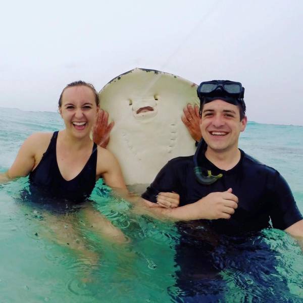 daily picdump 98 pics 13.html - 98 HD Photos | Premium Gallery 2015