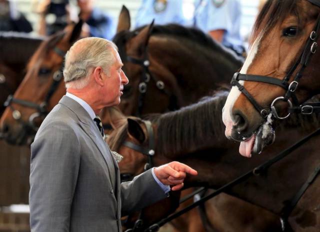 daily picdump 98 pics 13.html - 98 HD Photos | Premium Gallery 2015