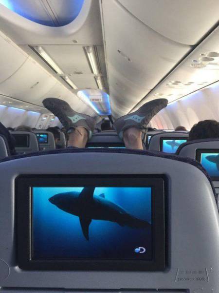 daily picdump 98 pics 13.html - 98 HD Photos | Premium Gallery 2015