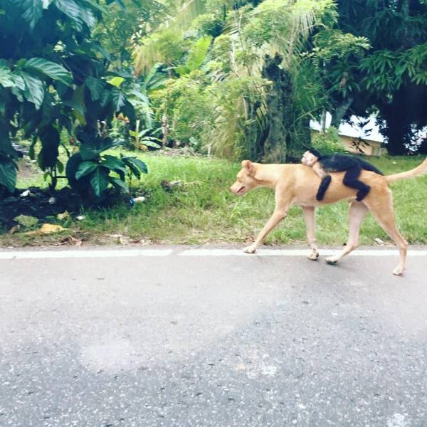 daily picdump 98 pics 13.html - 98 HD Photos | Premium Gallery 2015