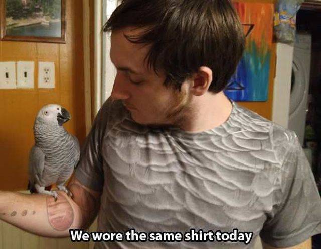 daily picdump 98 pics 13.html - 98 HD Photos | Premium Gallery 2015