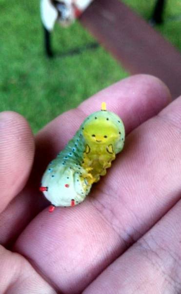 morning picdump 50 pics 25.html - 50 HD Photos | Premium Gallery 2015