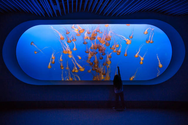 morning picdump 50 pics 25.html - 50 HD Photos | Premium Gallery 2015