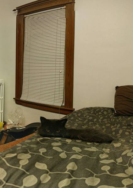 morning picdump 50 pics 25.html - 50 HD Photos | Premium Gallery 2015