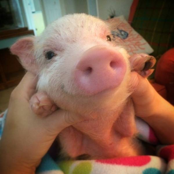 morning picdump 50 pics 25.html - 50 HD Photos | Premium Gallery 2015