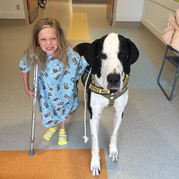 morning picdump 50 pics 25.html - 50 HD Photos | Premium Gallery 2015