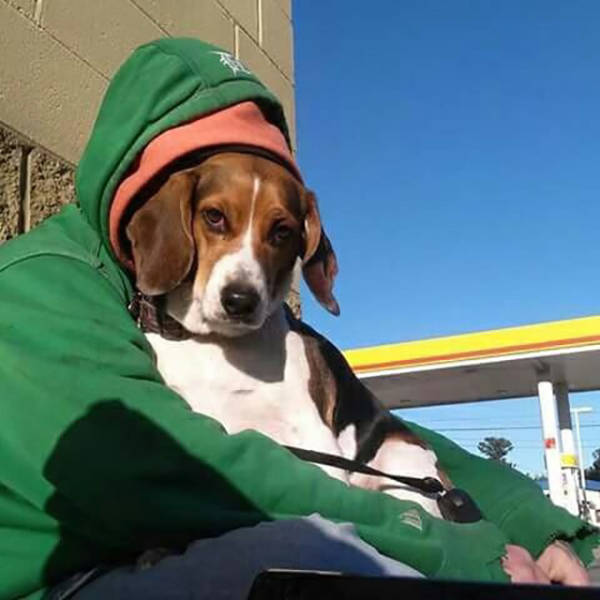 morning picdump 50 pics 25.html - 50 HD Photos | Premium Gallery 2015