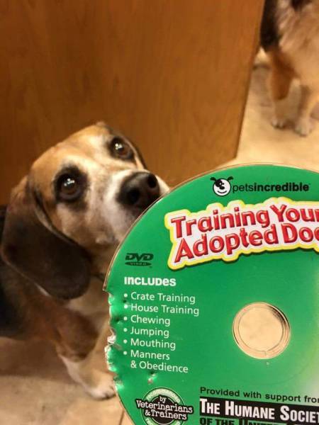 daily picdump 105 pics 33.html - 105 HD Photos | Premium Gallery 2015