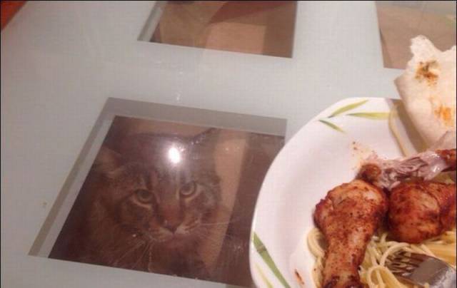 daily picdump 105 pics 33.html - 105 HD Photos | Premium Gallery 2015