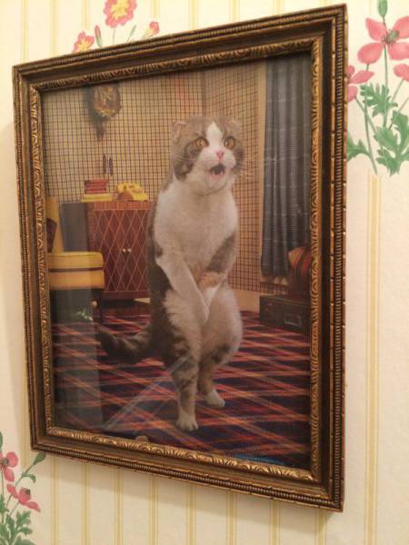 daily picdump 105 pics 33.html - 105 HD Photos | Premium Gallery 2015