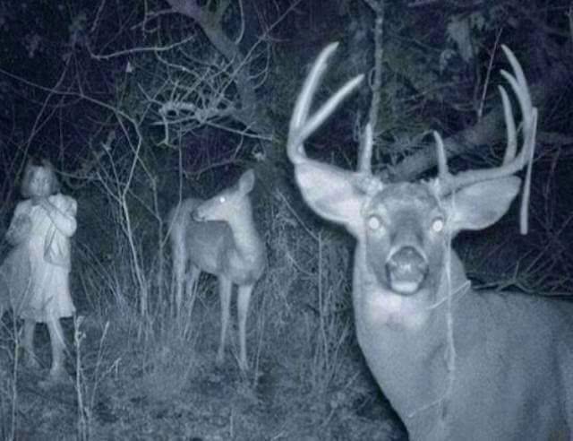 daily picdump 105 pics 33.html - 105 HD Photos | Premium Gallery 2015