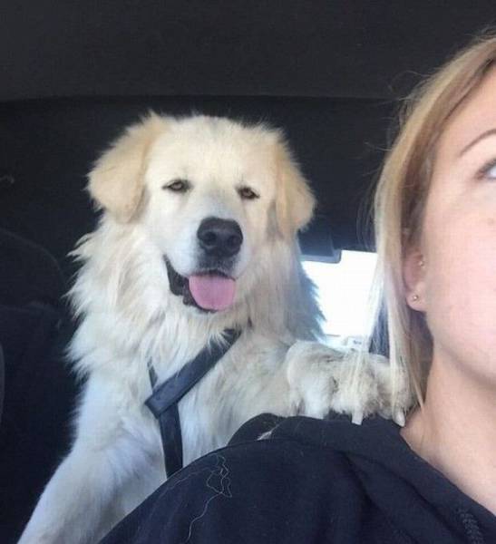 daily picdump 105 pics 33.html - 105 HD Photos | Premium Gallery 2015