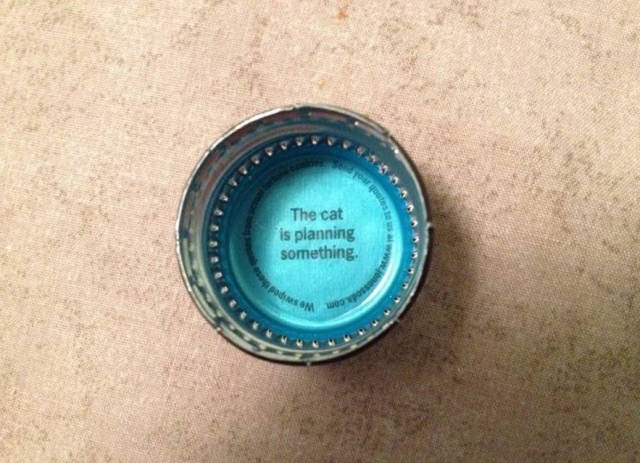 morning picdump 50 pics 4.html - 50 HD Photos | Premium Gallery 2015