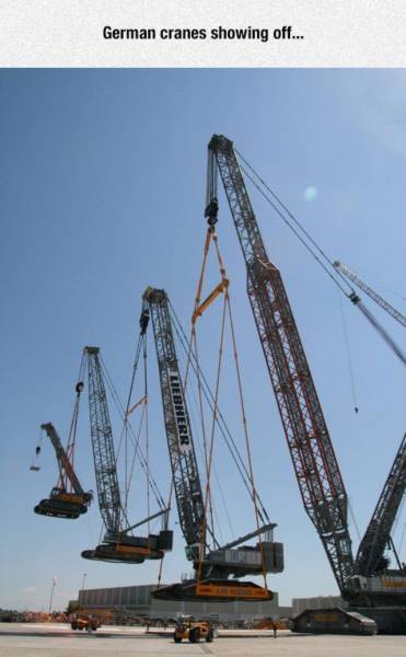 page,16,top 1500 daily pics of the year 2015.html - 1 HD Photos | Premium Gallery 2015