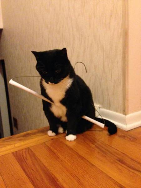 morning picdump 53 pics 26.html - 53 HD Photos | Premium Gallery 2015