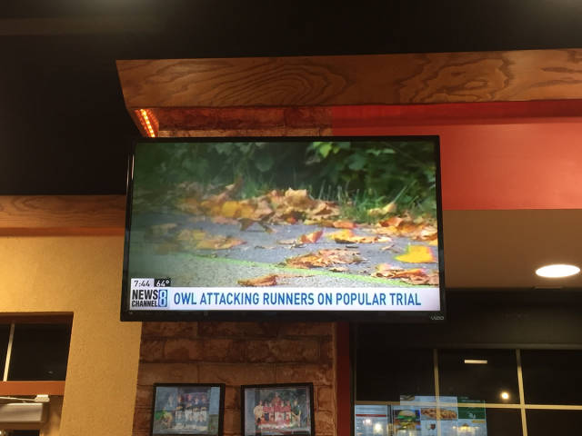 morning picdump 53 pics 26.html - 53 HD Photos | Premium Gallery 2015