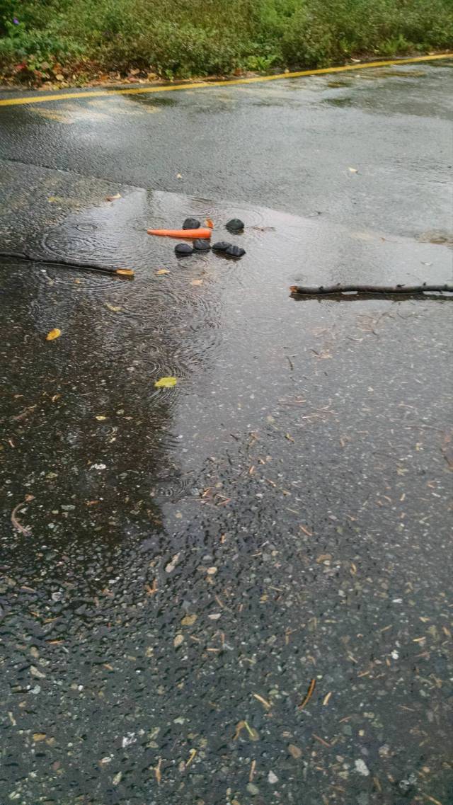 morning picdump 53 pics 26.html - 53 HD Photos | Premium Gallery 2015