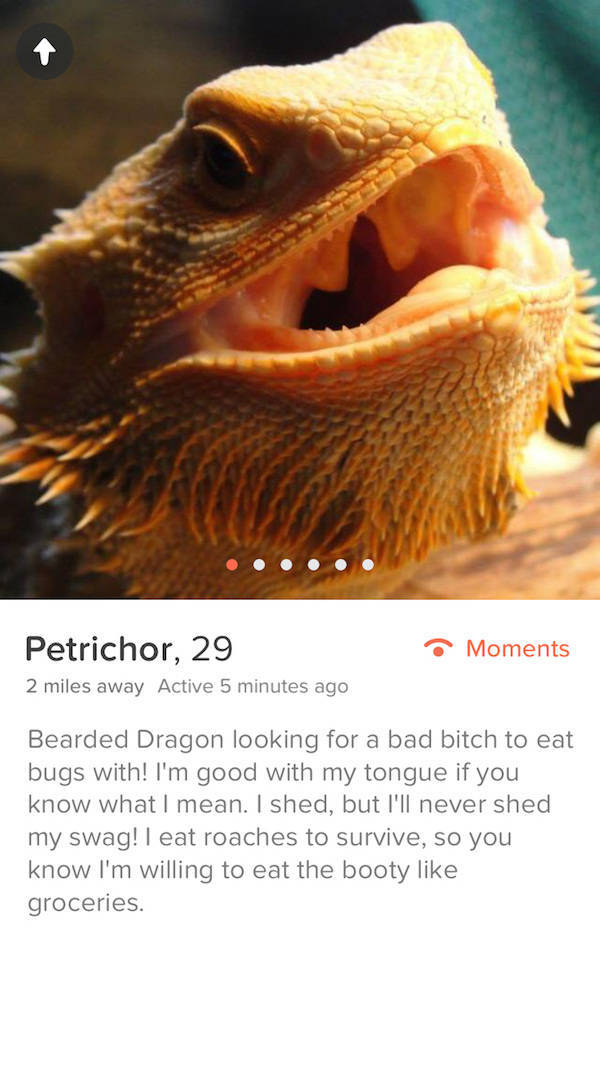 Tinder Profiles That Aren’t Messing Around