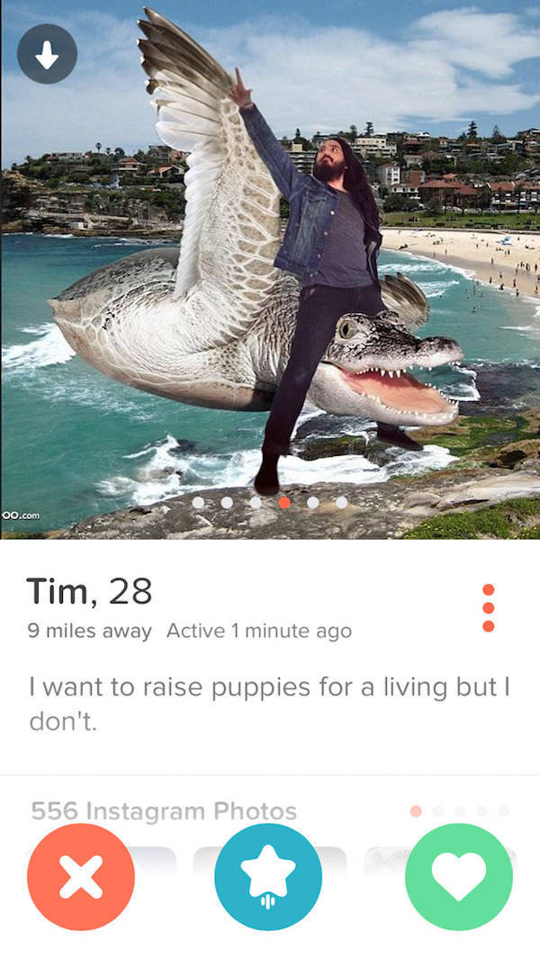 Tinder Profiles That Aren’t Messing Around