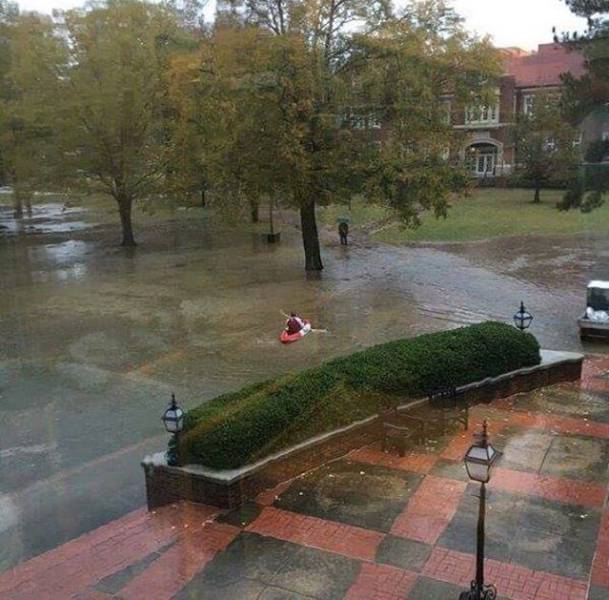 morning picdump 51 pics 2.html - 51 HD Photos | Premium Gallery 2015