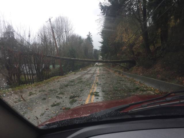 morning picdump 51 pics 2.html - 51 HD Photos | Premium Gallery 2015