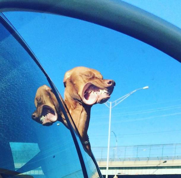 morning picdump 51 pics 2.html - 51 HD Photos | Premium Gallery 2015