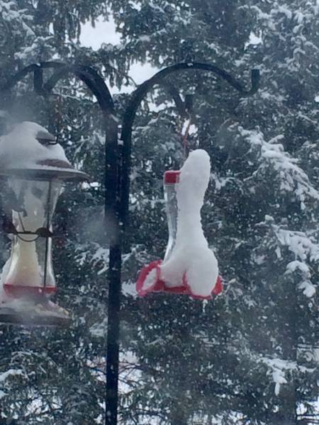 morning picdump 51 pics 2.html - 51 HD Photos | Premium Gallery 2015