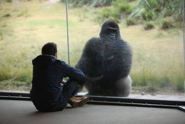 daily picdump 95 pics 10.html - 95 HD Photos | Premium Gallery 2015