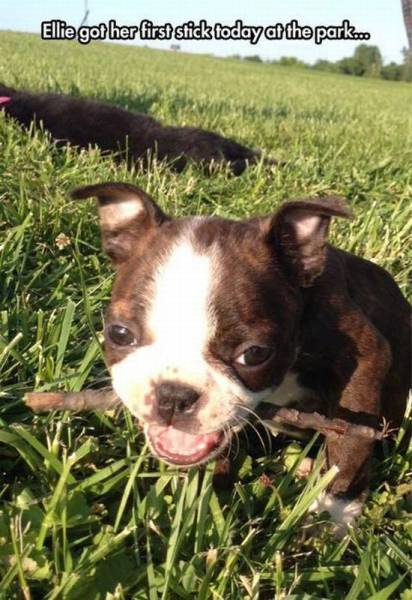 daily picdump 95 pics 10.html - 95 HD Photos | Premium Gallery 2015